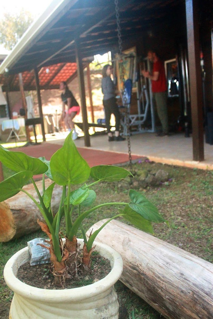 Eco Studio - Ao natural